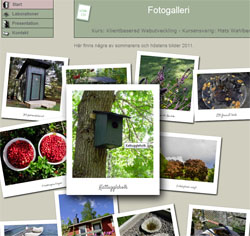 Bild på fotogalleri